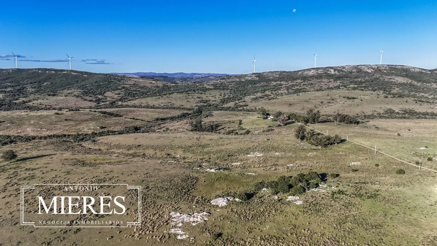 Campo de 600 ha en Sierras de carape, Maldonado Uruguay. — foto 9