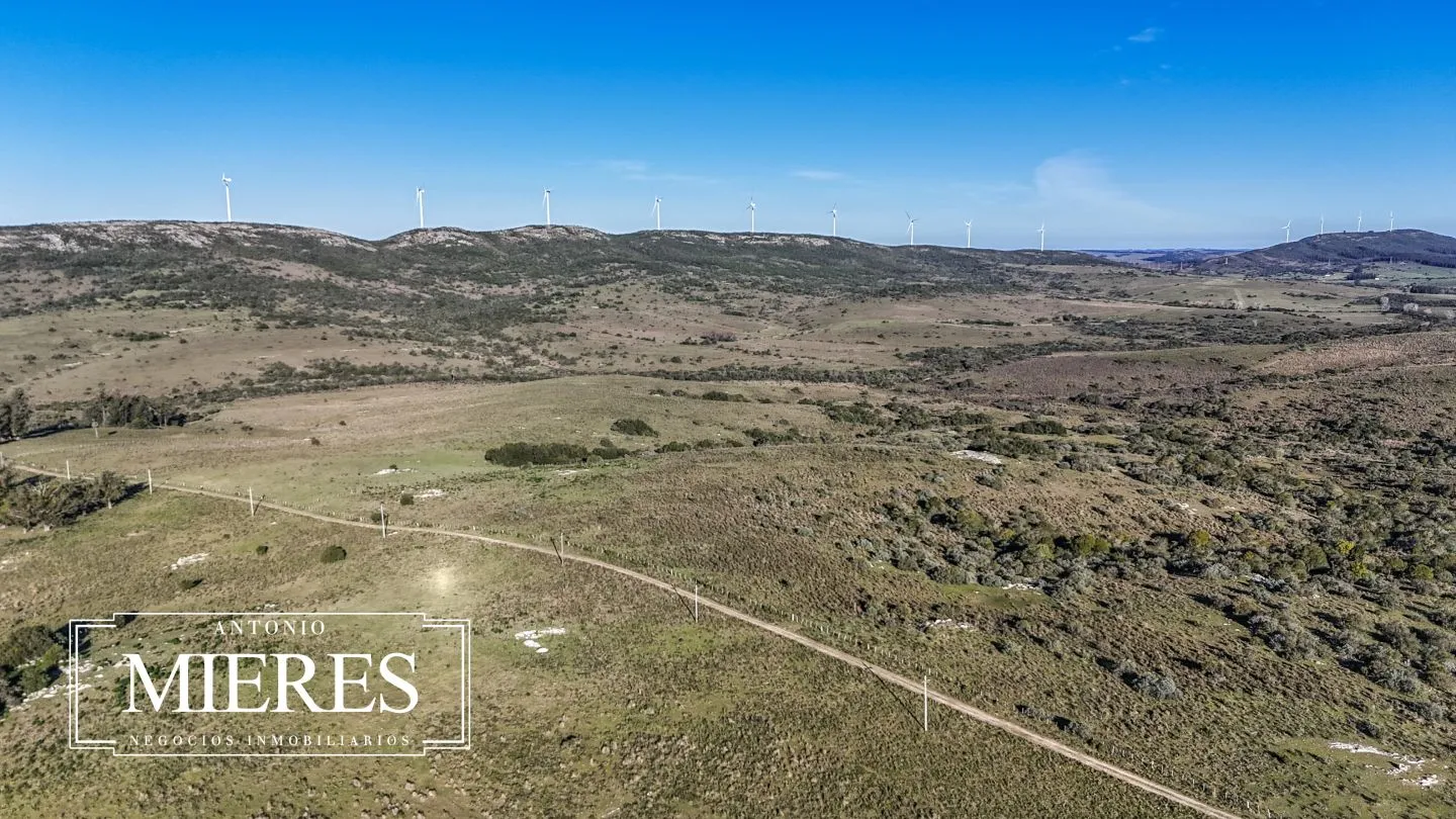 Campo de 600 ha en Sierras de carape, Maldonado Uruguay. — foto 10