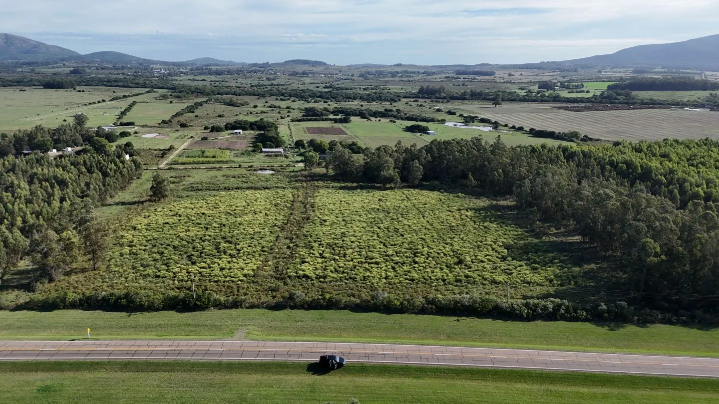Venta de chacra 5 ha sobre ruta 60 Pan de Azúcar Maldonado, Uruguay — foto 1