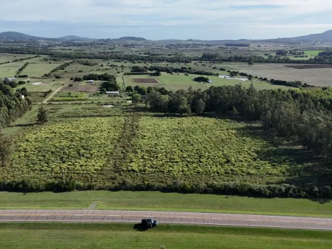Venta de chacra 5 ha sobre ruta 60 Pan de Azúcar Maldonado, Uruguay