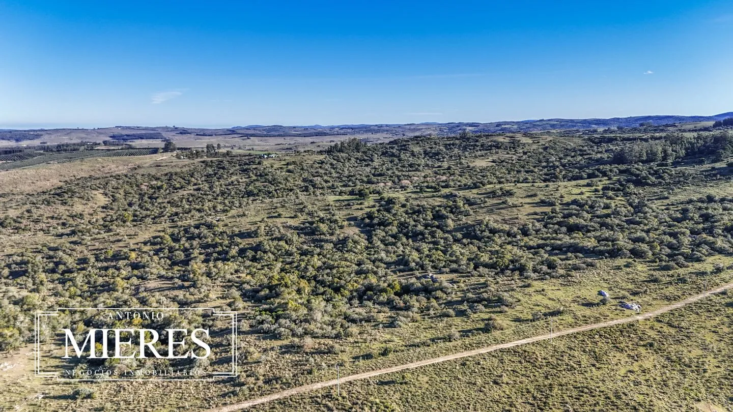 Campo de 600 ha en Sierras de carape, Maldonado Uruguay. — foto 11