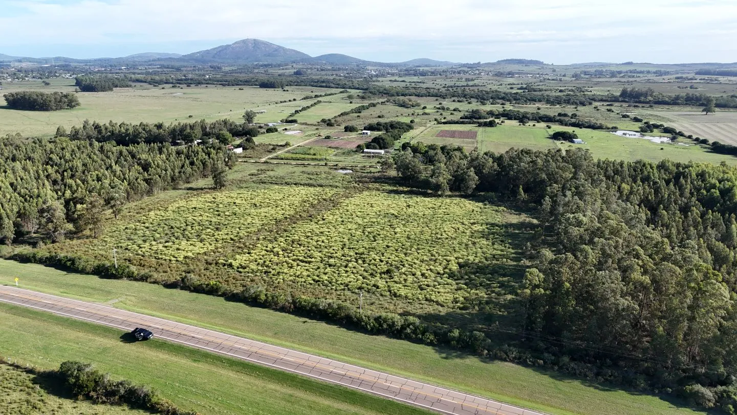 Venta de chacra 5 ha sobre ruta 60 Pan de Azúcar Maldonado, Uruguay — foto 2