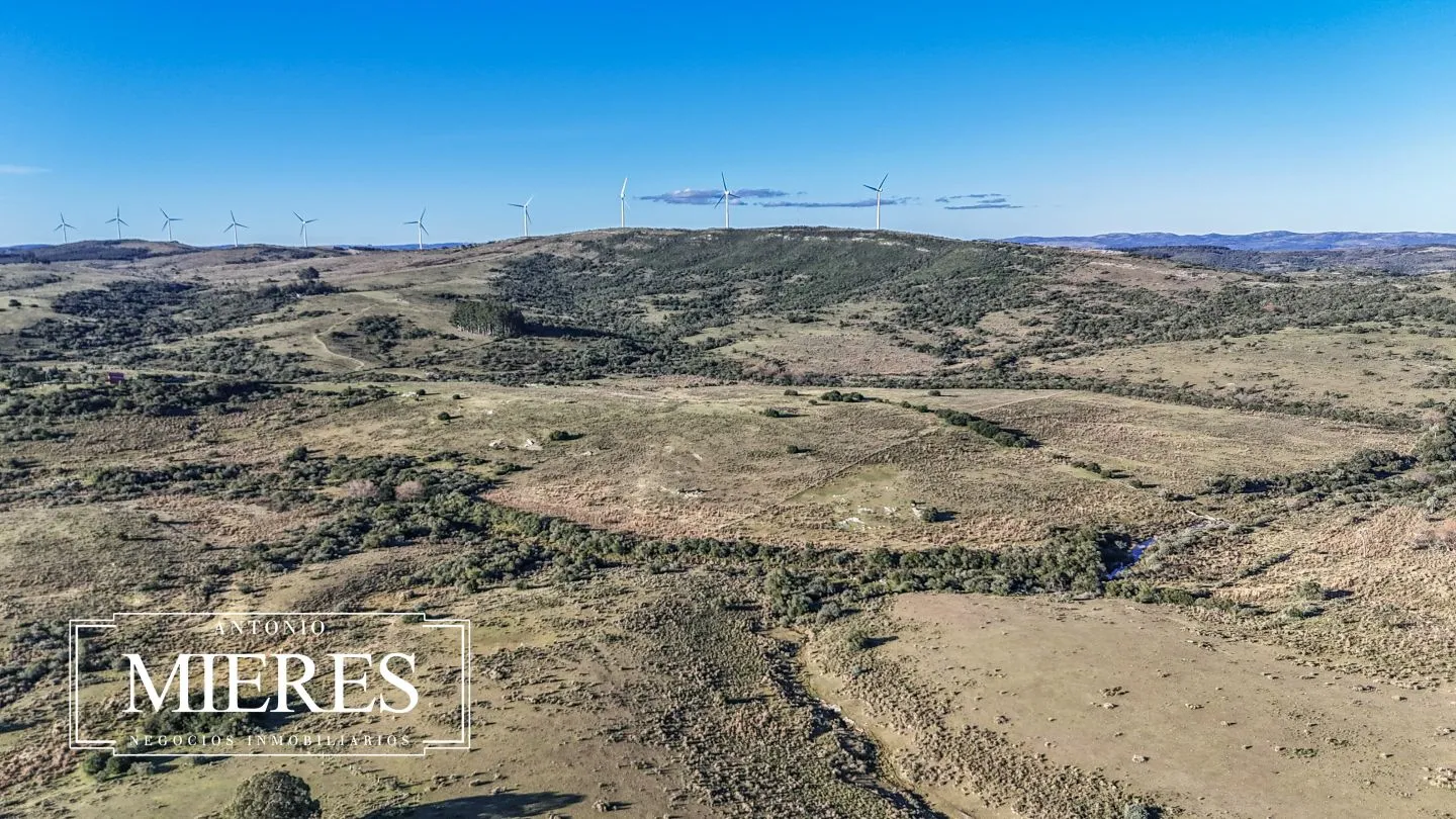 Campo de 600 ha en Sierras de carape, Maldonado Uruguay. — foto 12