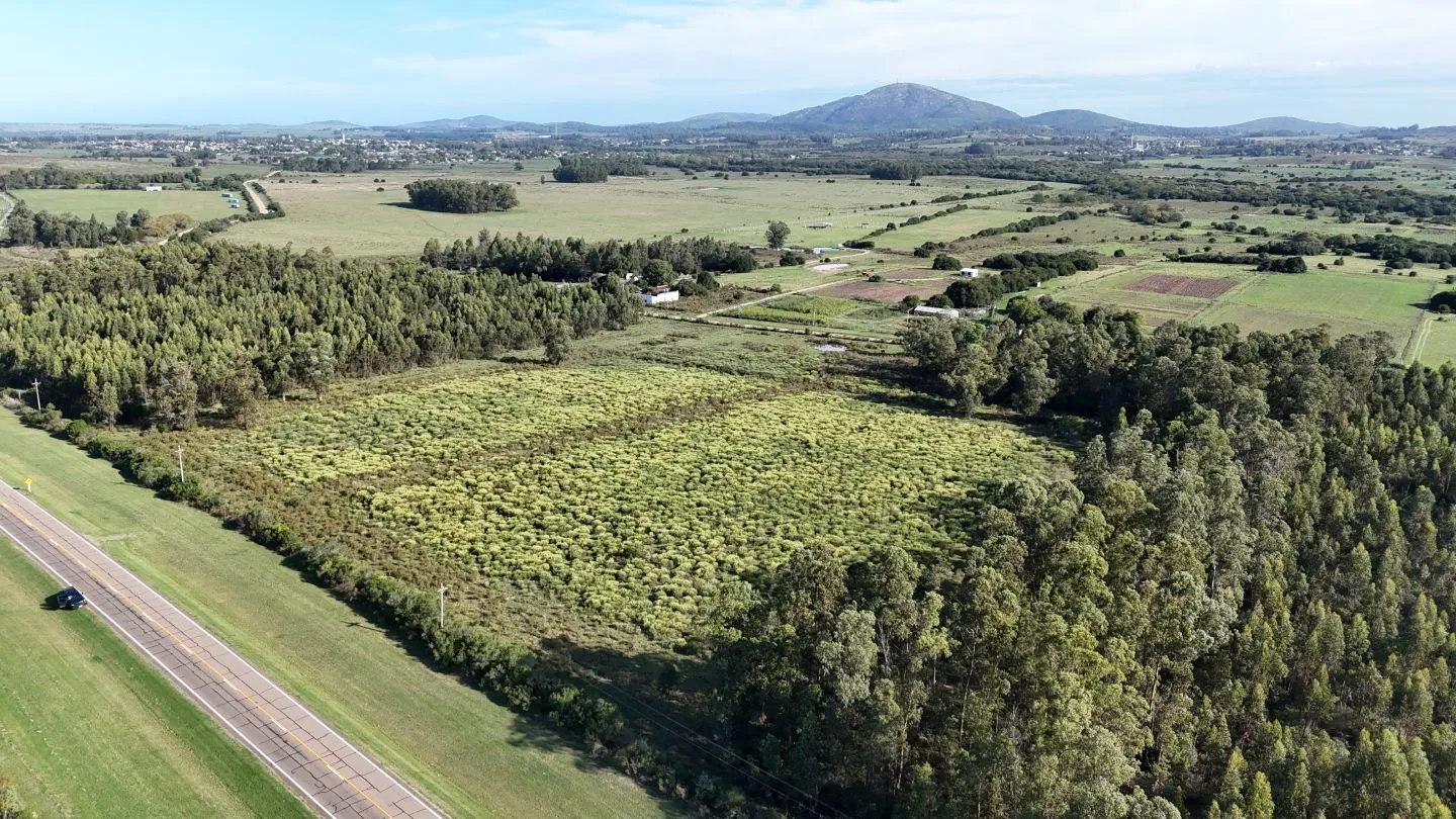 Venta de chacra 5 ha sobre ruta 60 Pan de Azúcar Maldonado, Uruguay — foto 3