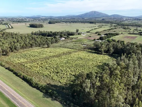 Venta de chacra 5 ha sobre ruta 60 Pan de Azúcar Maldonado, Uruguay — foto 3