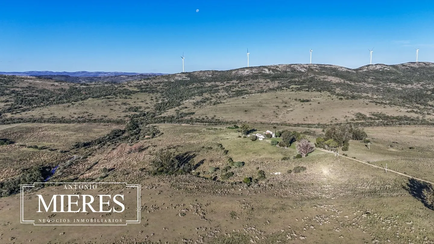 Campo de 600 ha en Sierras de carape, Maldonado Uruguay. — foto 13