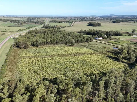 Venta de chacra 5 ha sobre ruta 60 Pan de Azúcar Maldonado, Uruguay — foto 4