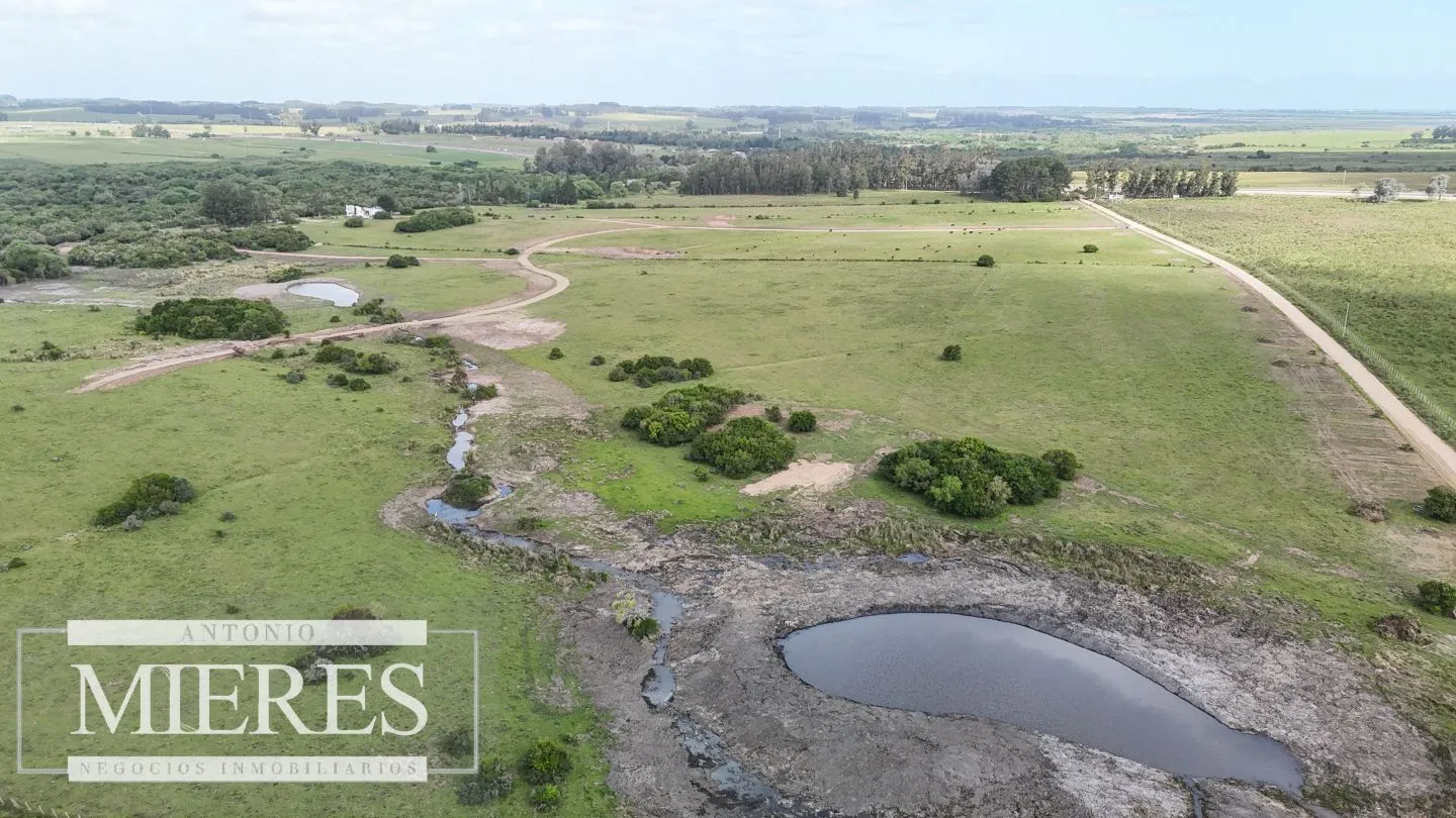 Chacra / Campo 3 ha en Laguna José Ignacio — foto 22