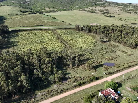 Venta de chacra 5 ha sobre ruta 60 Pan de Azúcar Maldonado, Uruguay — foto 5