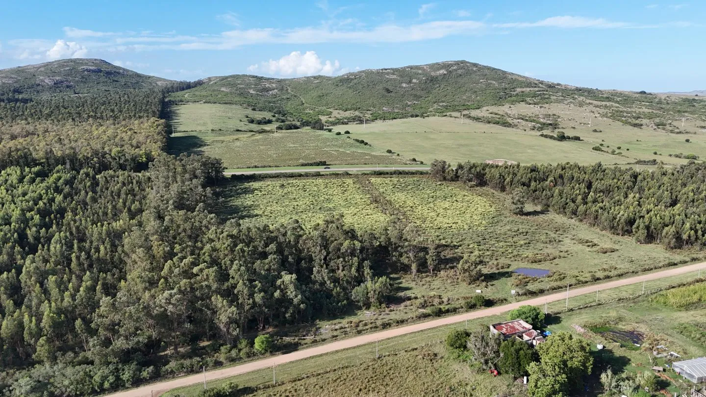 Venta de chacra 5 ha sobre ruta 60 Pan de Azúcar Maldonado, Uruguay — foto 6
