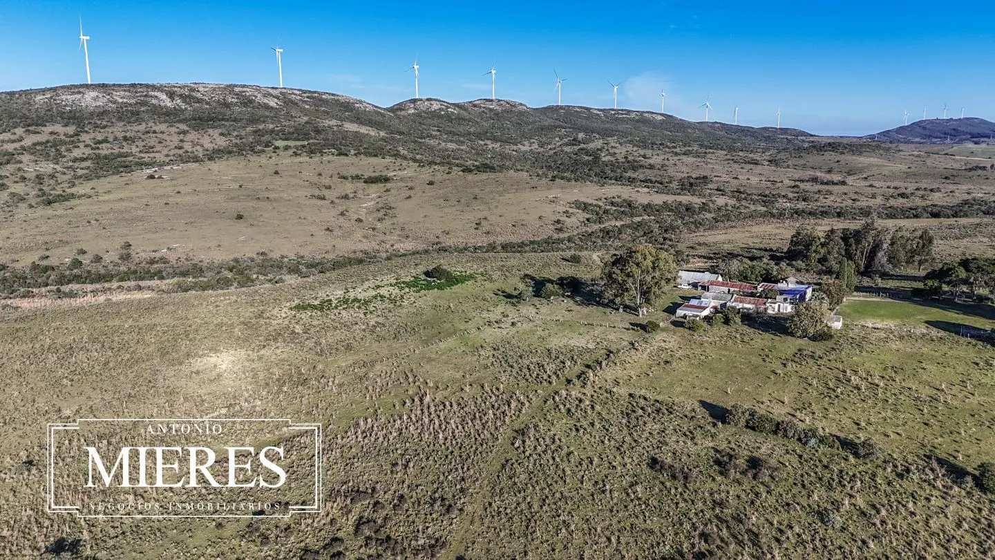 Campo de 600 ha en Sierras de carape, Maldonado Uruguay. — foto 15