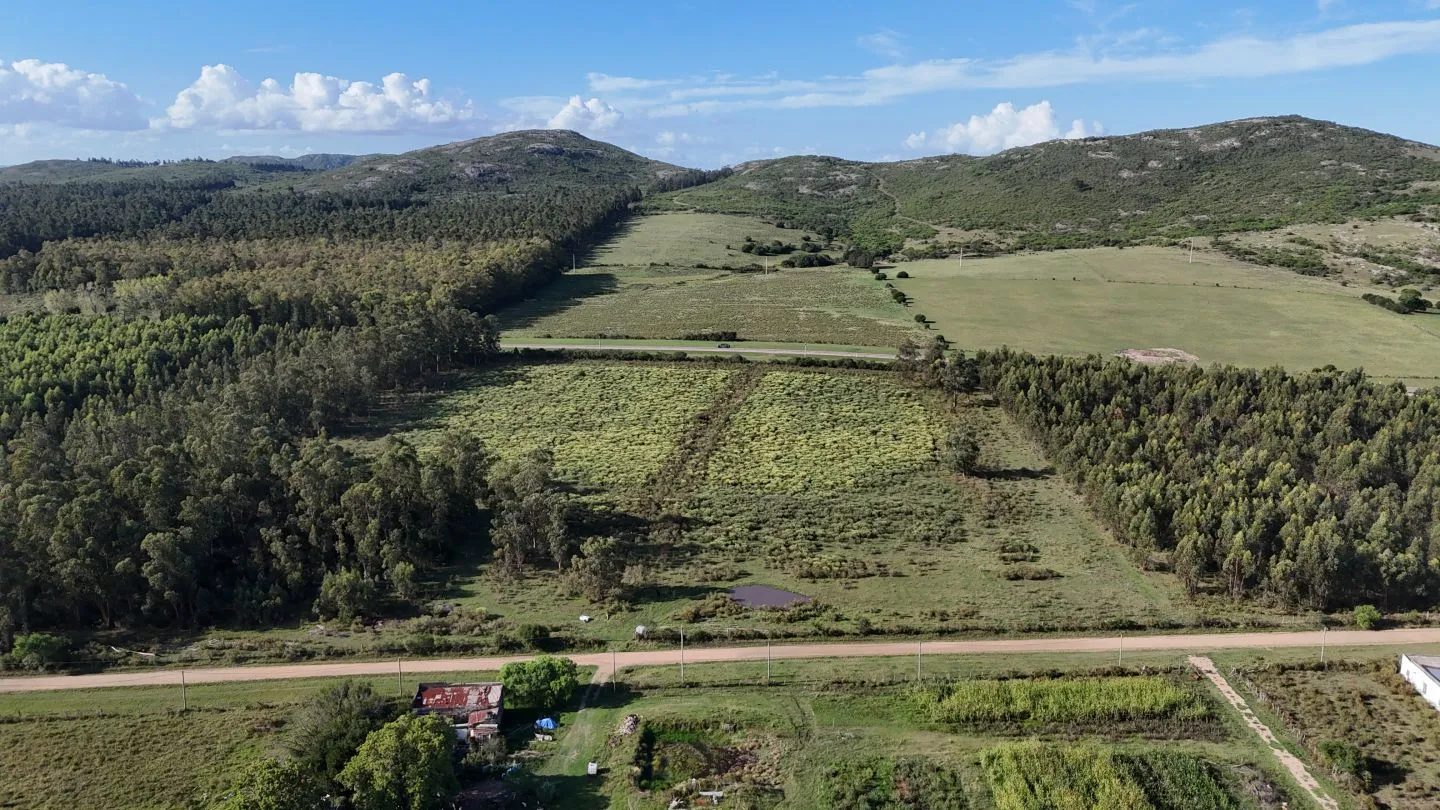Venta de chacra 5 ha sobre ruta 60 Pan de Azúcar Maldonado, Uruguay — foto 7