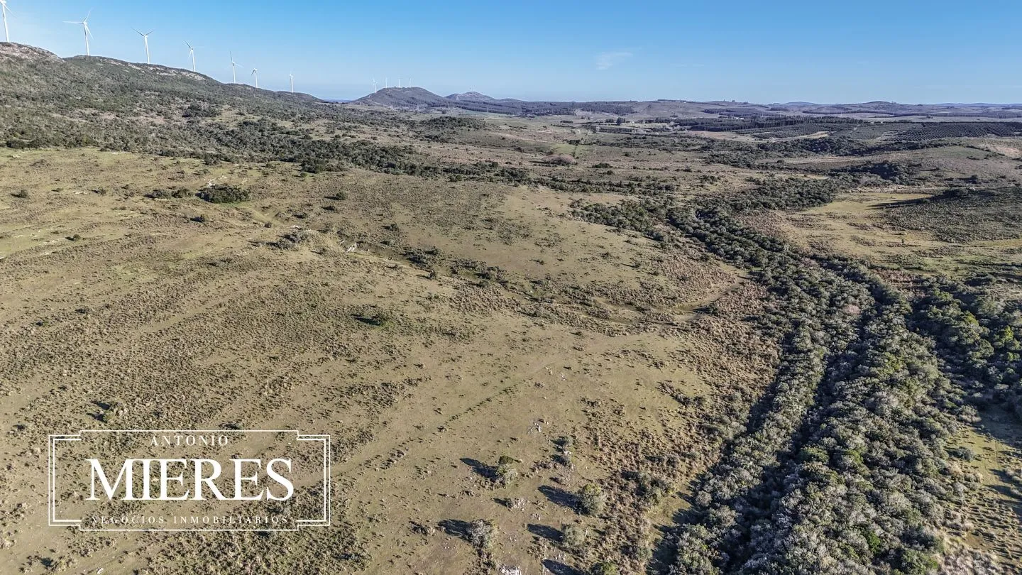 Campo de 600 ha en Sierras de carape, Maldonado Uruguay. — foto 16