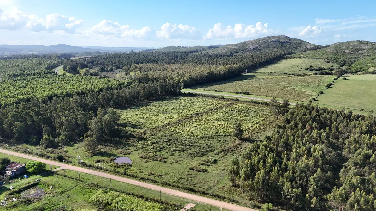 Venta de chacra 5 ha sobre ruta 60 Pan de Azúcar Maldonado, Uruguay — foto 8