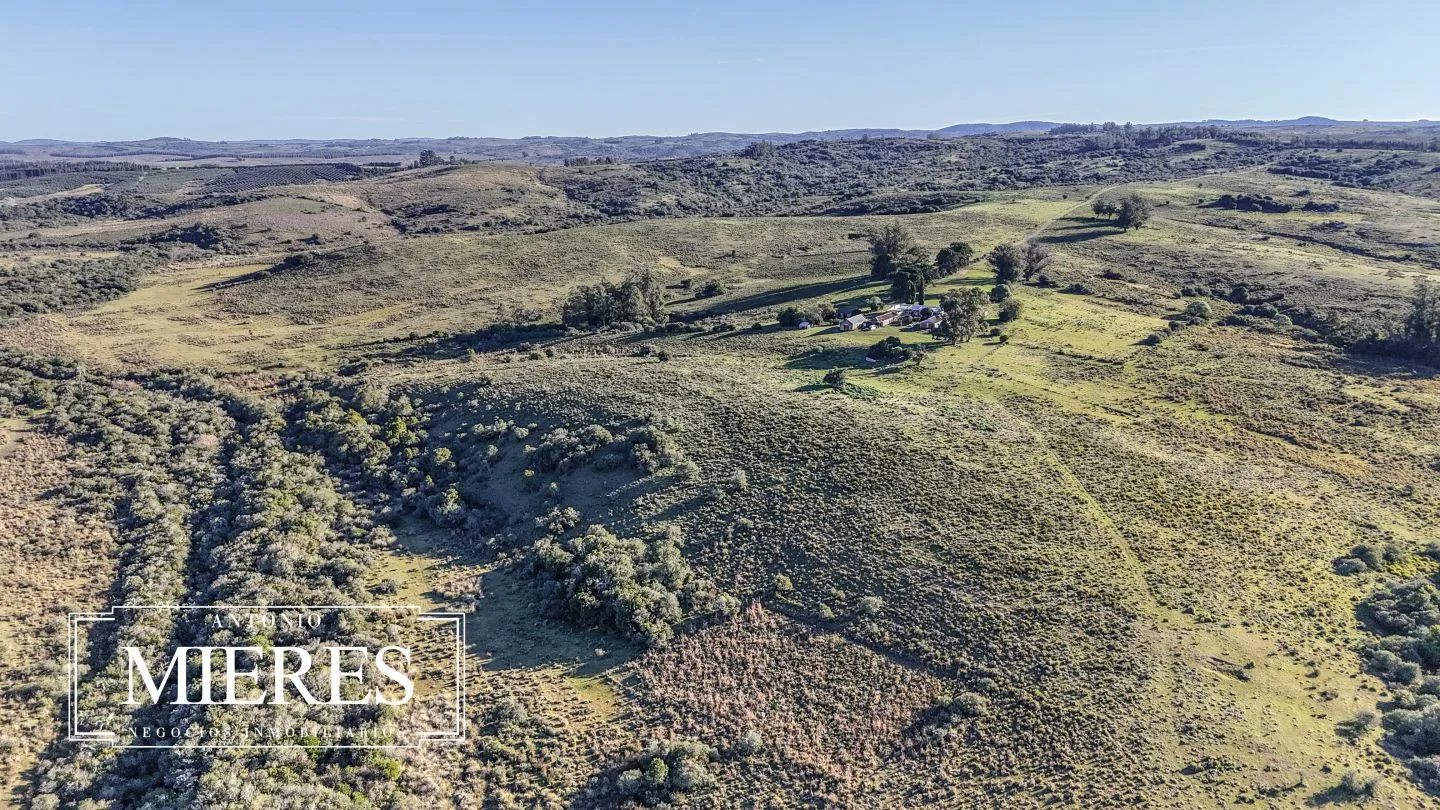 Campo de 600 ha en Sierras de carape, Maldonado Uruguay. — foto 17