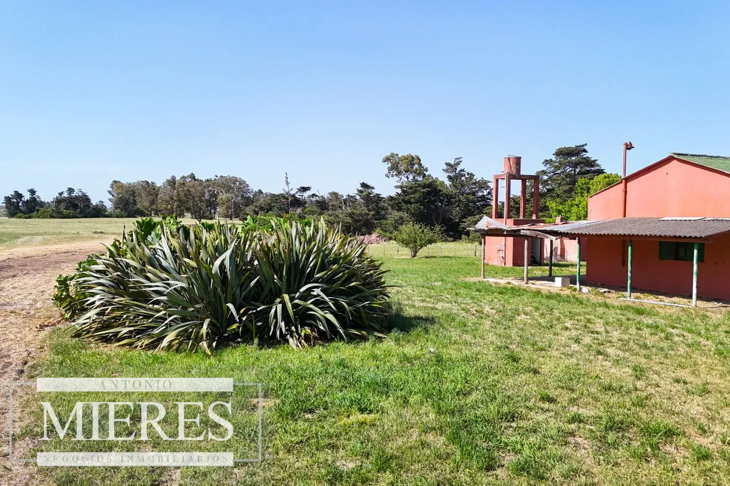 Chacra en venta de 3 ha con casa y galpón sobre ruta 9 a pocos min del mar. — foto 4