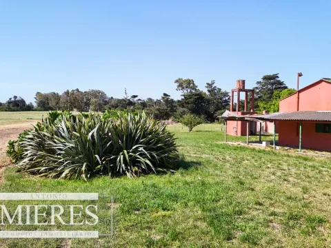 Chacra en venta de 3 ha con casa y galpón sobre ruta 9 a pocos min del mar. — foto 4
