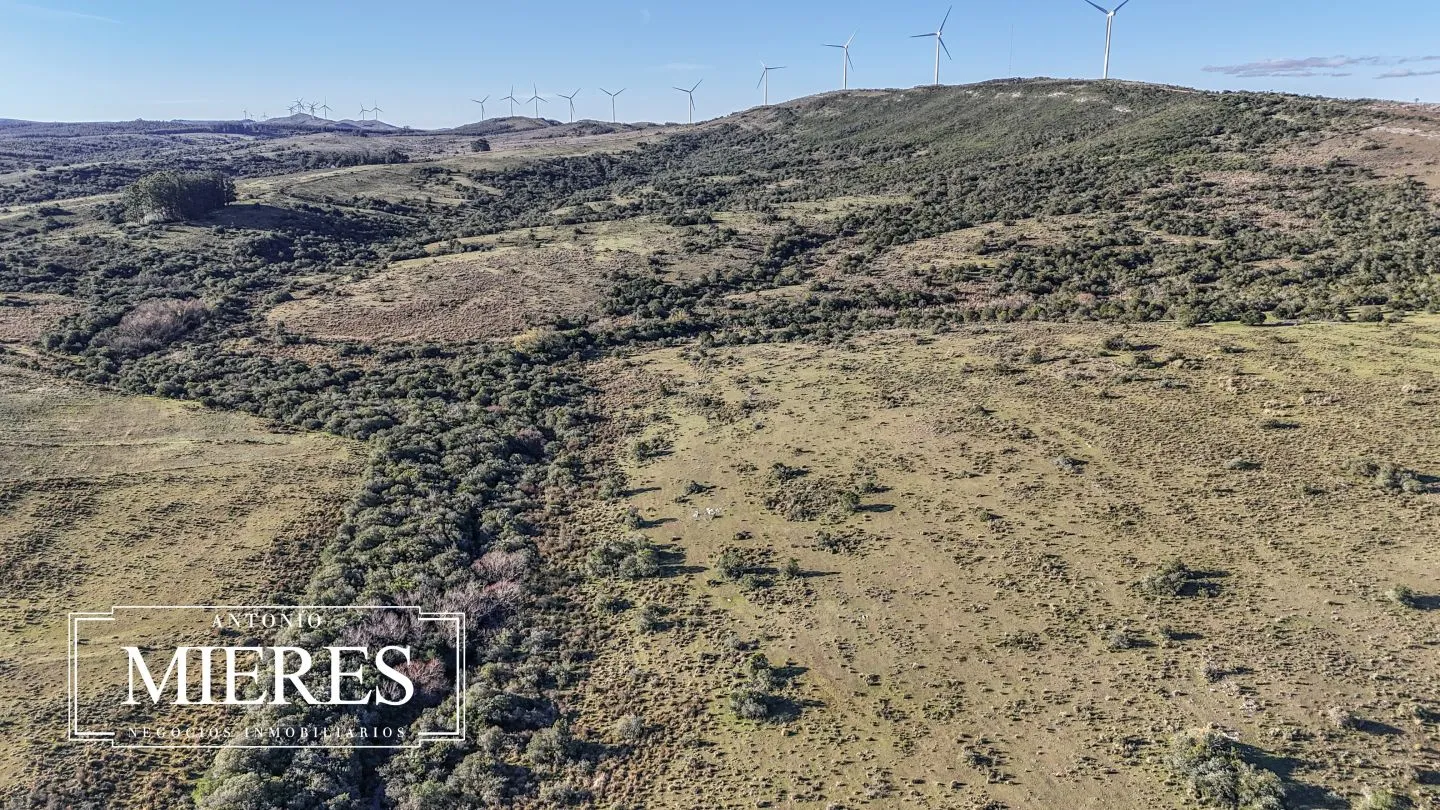 Campo de 600 ha en Sierras de carape, Maldonado Uruguay. — foto 18