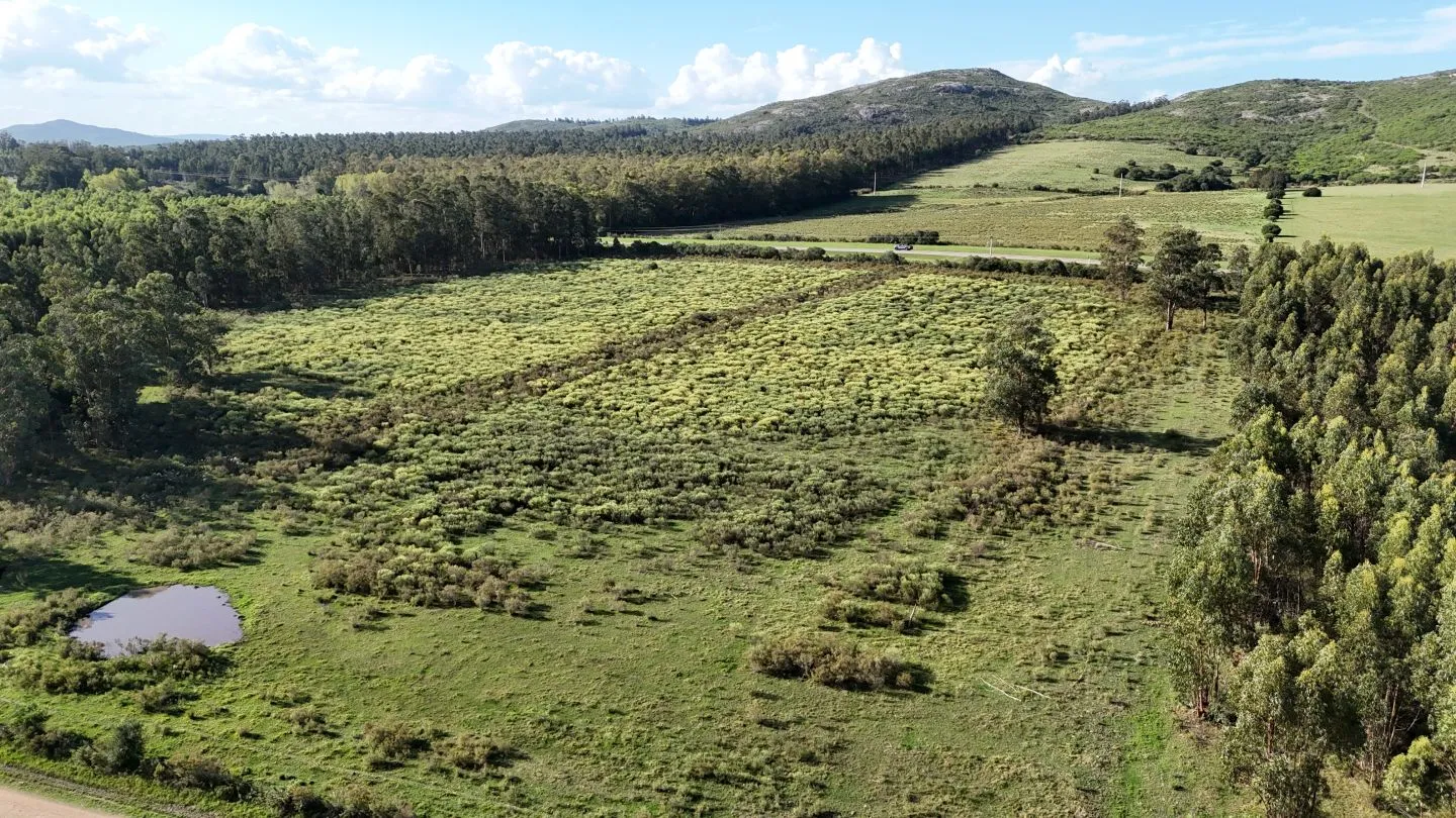 Venta de chacra 5 ha sobre ruta 60 Pan de Azúcar Maldonado, Uruguay — foto 10