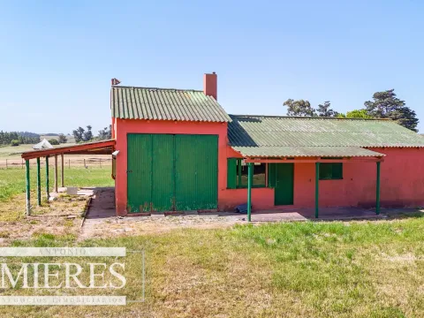 Chacra en venta de 3 ha con casa y galpón sobre ruta 9 a pocos min del mar. — foto 5