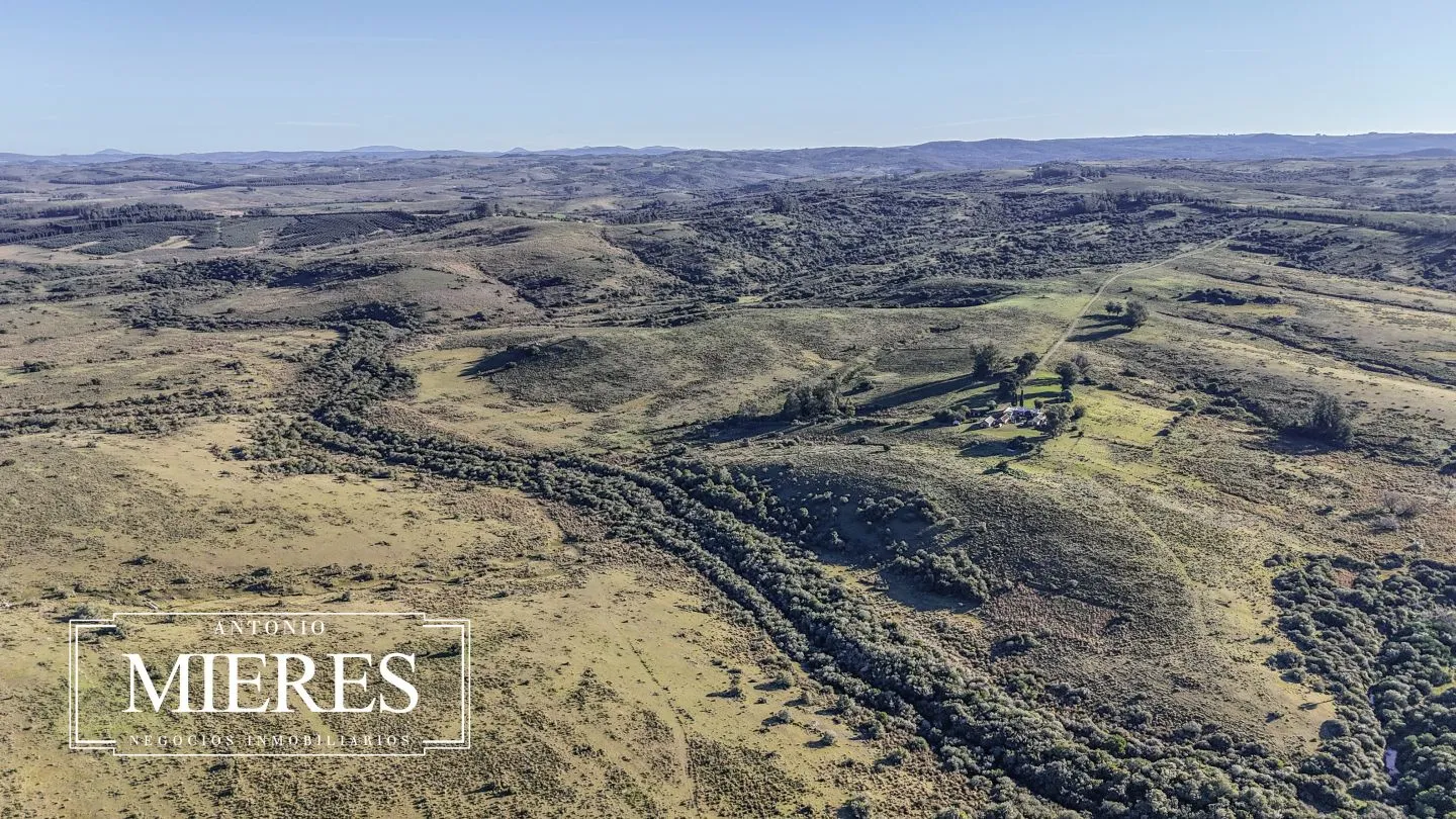 Campo de 600 ha en Sierras de carape, Maldonado Uruguay. — foto 19