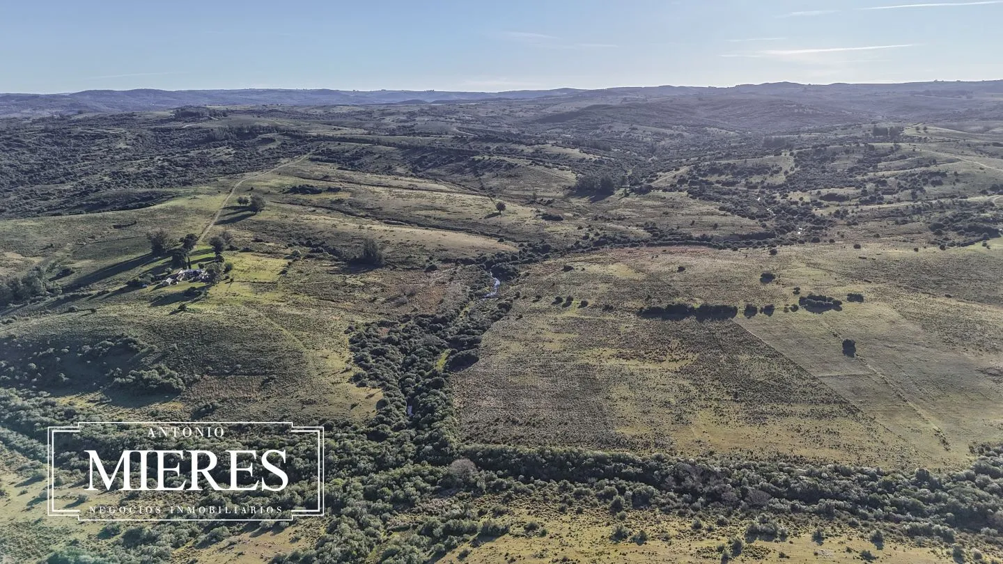 Campo de 600 ha en Sierras de carape, Maldonado Uruguay. — foto 20