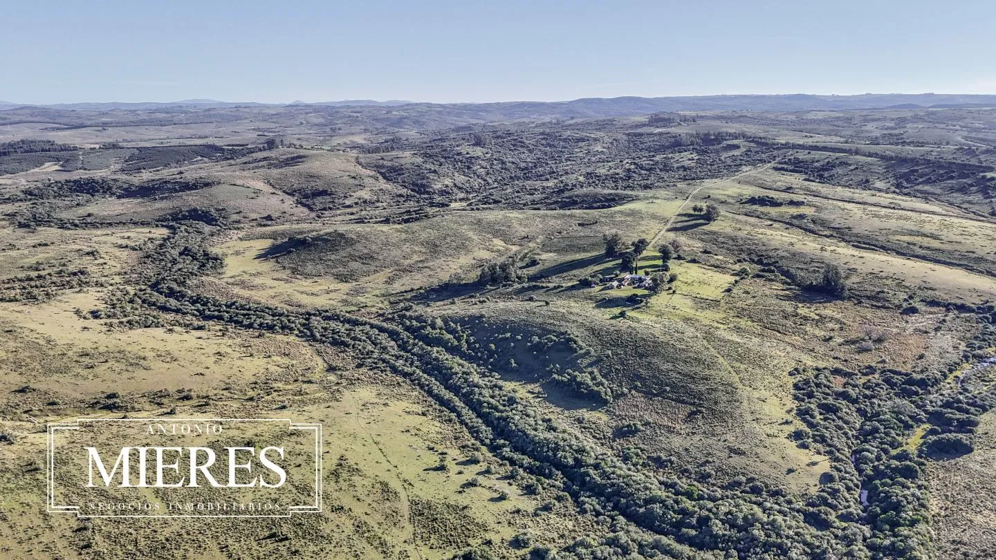 Campo de 600 ha en Sierras de carape, Maldonado Uruguay. — foto 21