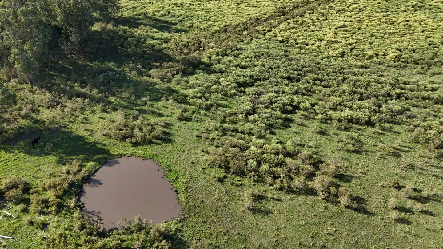 Venta de chacra 5 ha sobre ruta 60 Pan de Azúcar Maldonado, Uruguay — foto 13