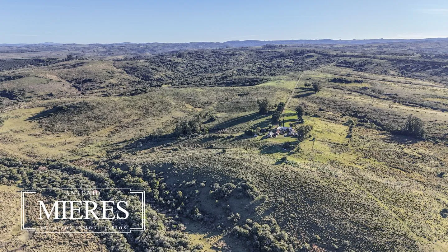 Campo de 600 ha en Sierras de carape, Maldonado Uruguay. — foto 22