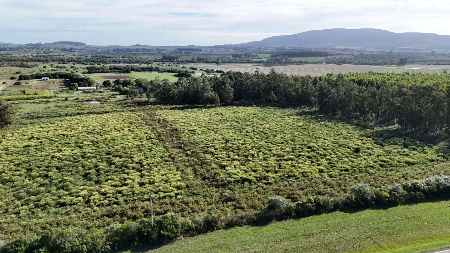 Venta de chacra 5 ha sobre ruta 60 Pan de Azúcar Maldonado, Uruguay — foto 14