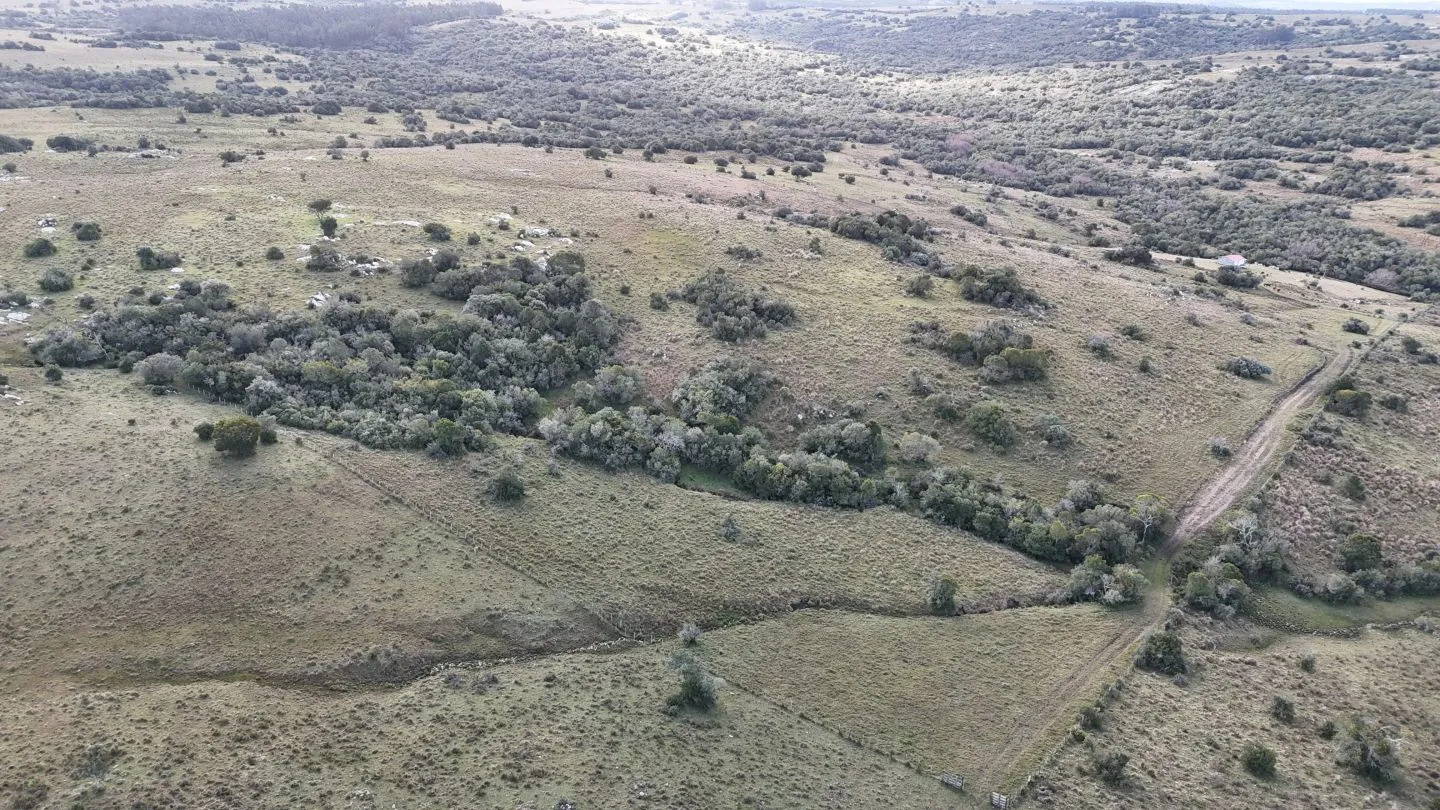 Campo de 14 ha en venta sierras de Carapé, Maldonado Uruguay. — foto 2