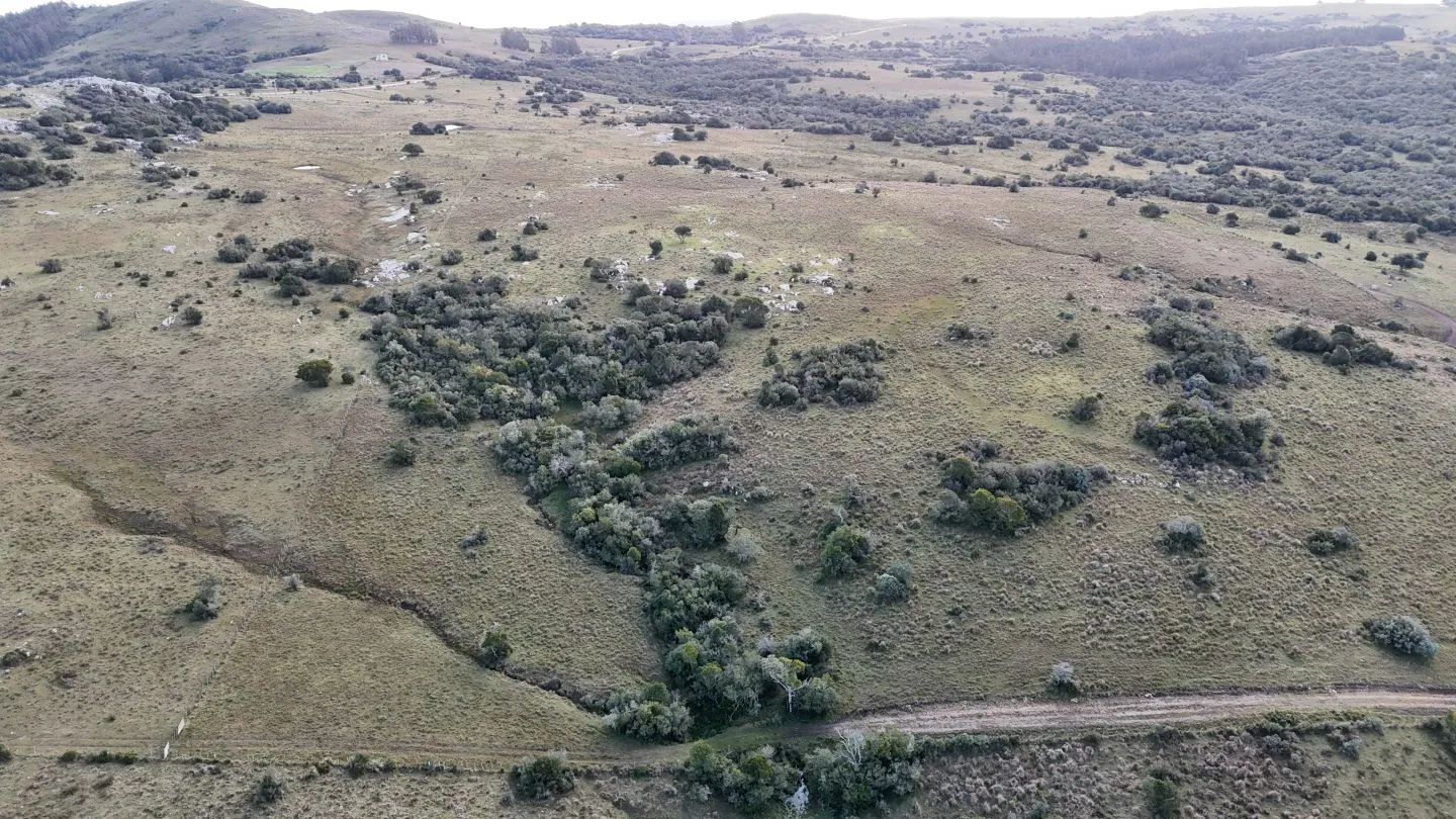 Campo de 14 ha en venta sierras de Carapé, Maldonado Uruguay. — foto 3