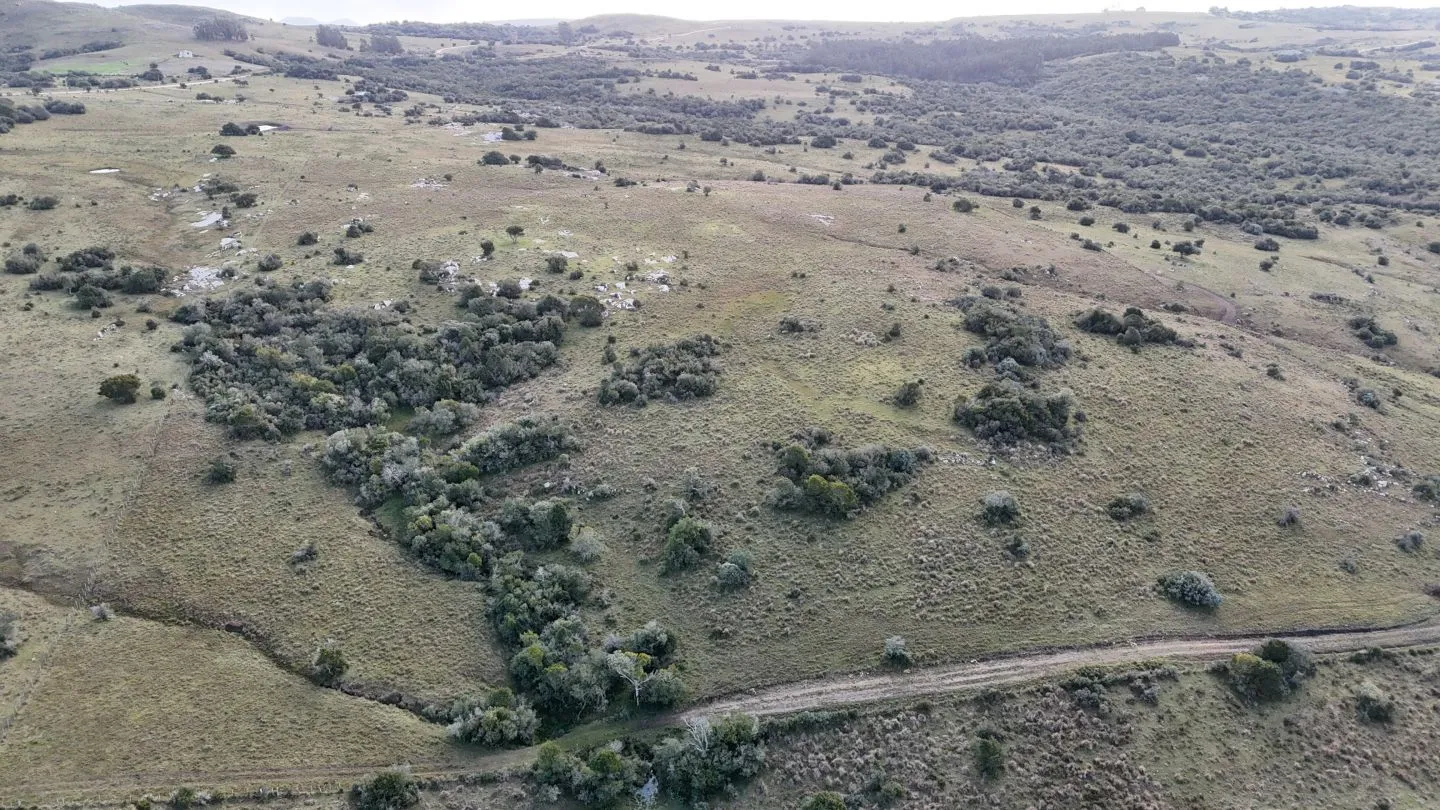 Campo de 14 ha en venta sierras de Carapé, Maldonado Uruguay. — foto 4