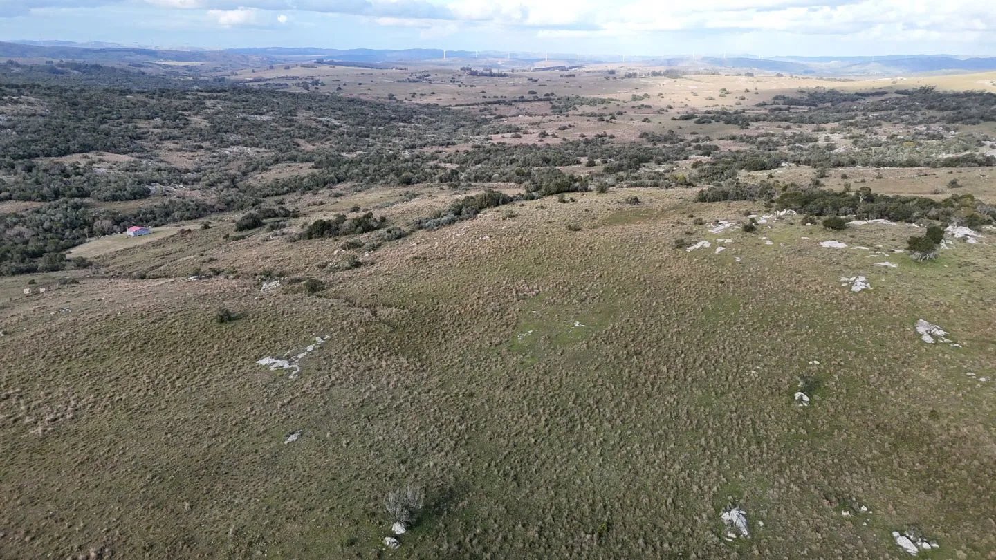Campo de 14 ha en venta sierras de Carapé, Maldonado Uruguay. — foto 12