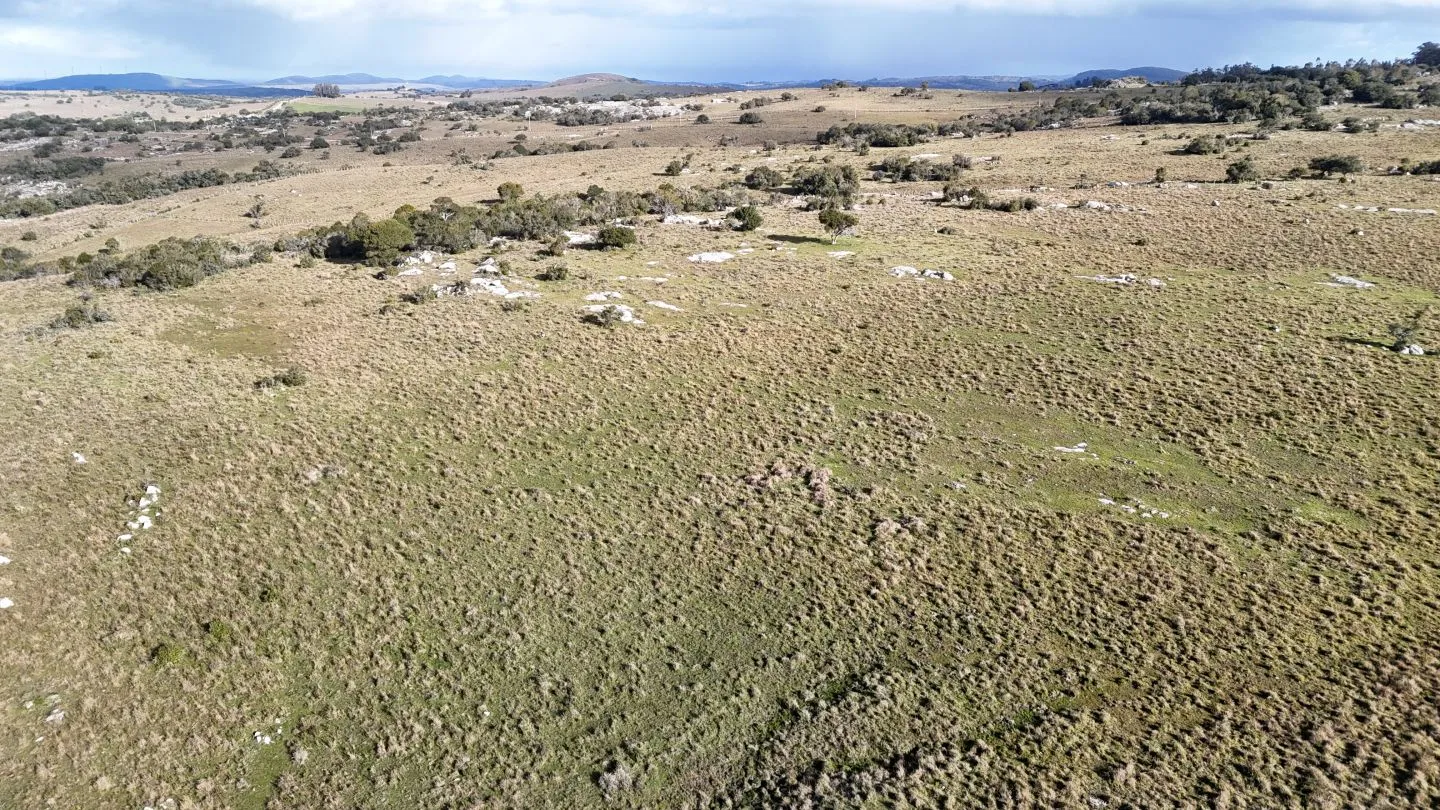 Campo de 14 ha en venta sierras de Carapé, Maldonado Uruguay. — foto 16