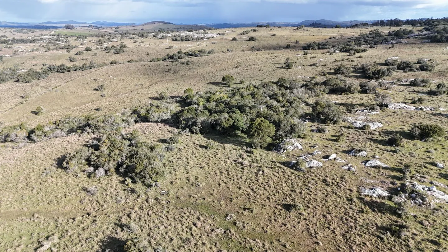 Campo de 14 ha en venta sierras de Carapé, Maldonado Uruguay. — foto 17