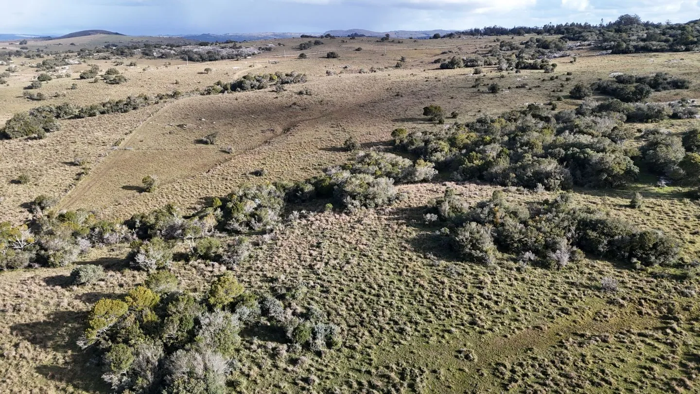 Campo de 14 ha en venta sierras de Carapé, Maldonado Uruguay. — foto 18