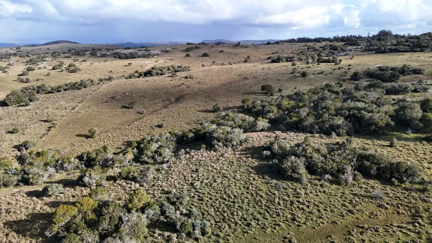 Campo de 14 ha en venta sierras de Carapé, Maldonado Uruguay. — foto 19