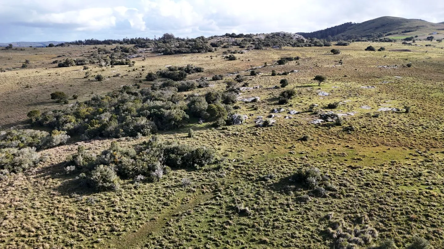 Campo de 14 ha en venta sierras de Carapé, Maldonado Uruguay. — foto 20
