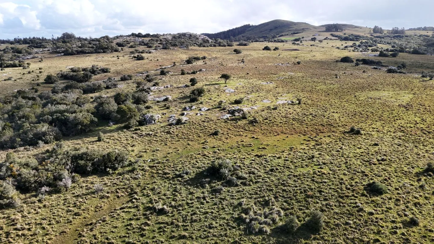 Campo de 14 ha en venta sierras de Carapé, Maldonado Uruguay. — foto 21