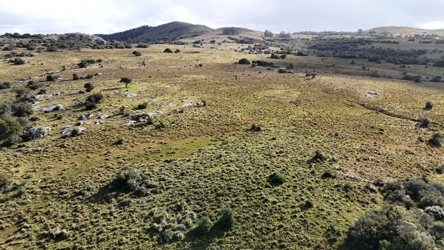 Campo de 14 ha en venta sierras de Carapé, Maldonado Uruguay. — foto 22