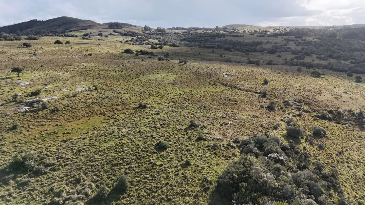 Campo de 14 ha en venta sierras de Carapé, Maldonado Uruguay. — foto 23