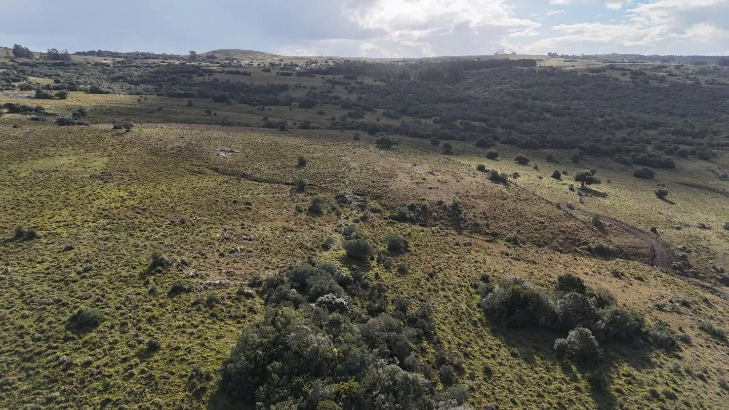 Campo de 14 ha en venta sierras de Carapé, Maldonado Uruguay. — foto 24