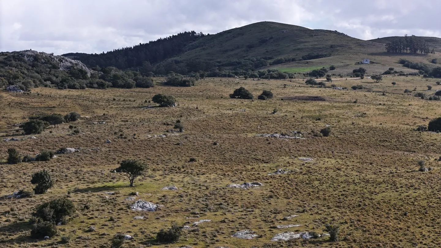 Campo de 14 ha en venta sierras de Carapé, Maldonado Uruguay. — foto 25