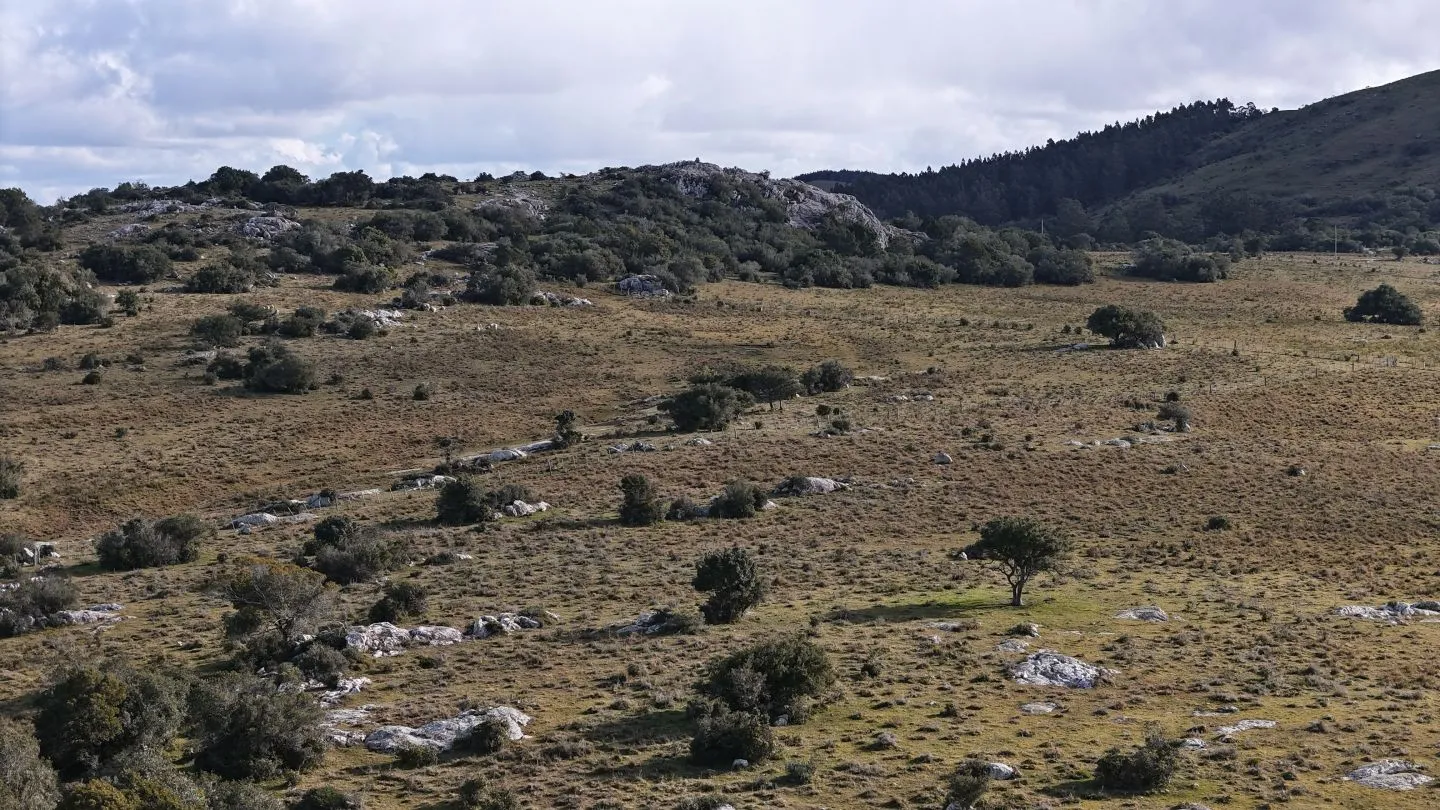 Campo de 14 ha en venta sierras de Carapé, Maldonado Uruguay. — foto 26