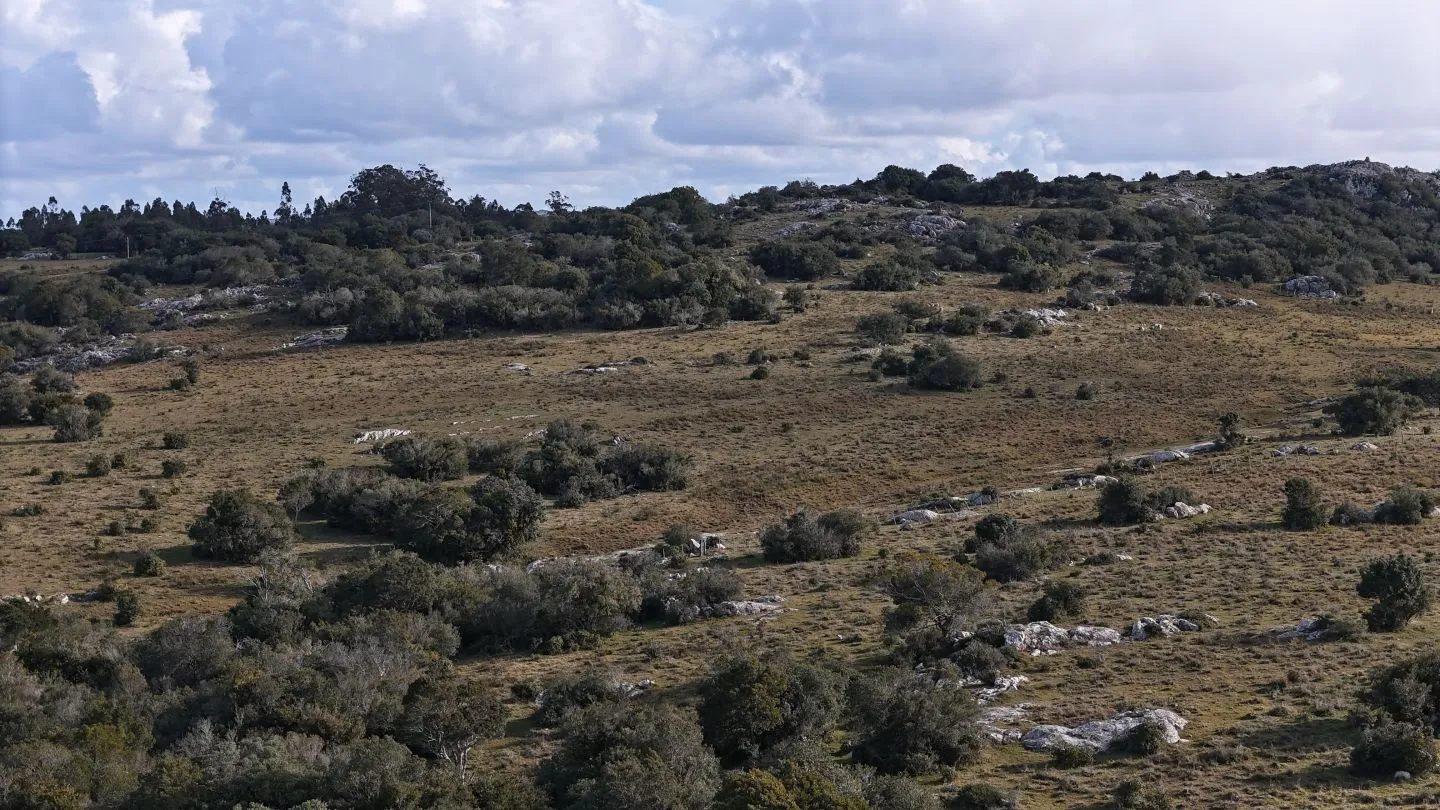 Campo de 14 ha en venta sierras de Carapé, Maldonado Uruguay. — foto 27
