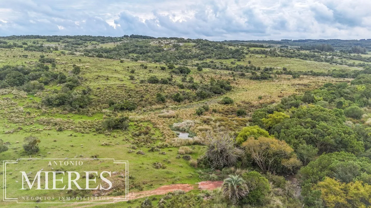 Campo de 32 ha panorámico con arroyo en Maldonado — foto 1