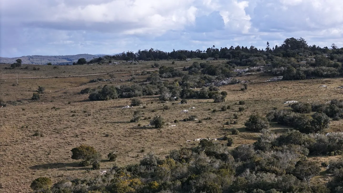 Campo de 14 ha en venta sierras de Carapé, Maldonado Uruguay. — foto 28