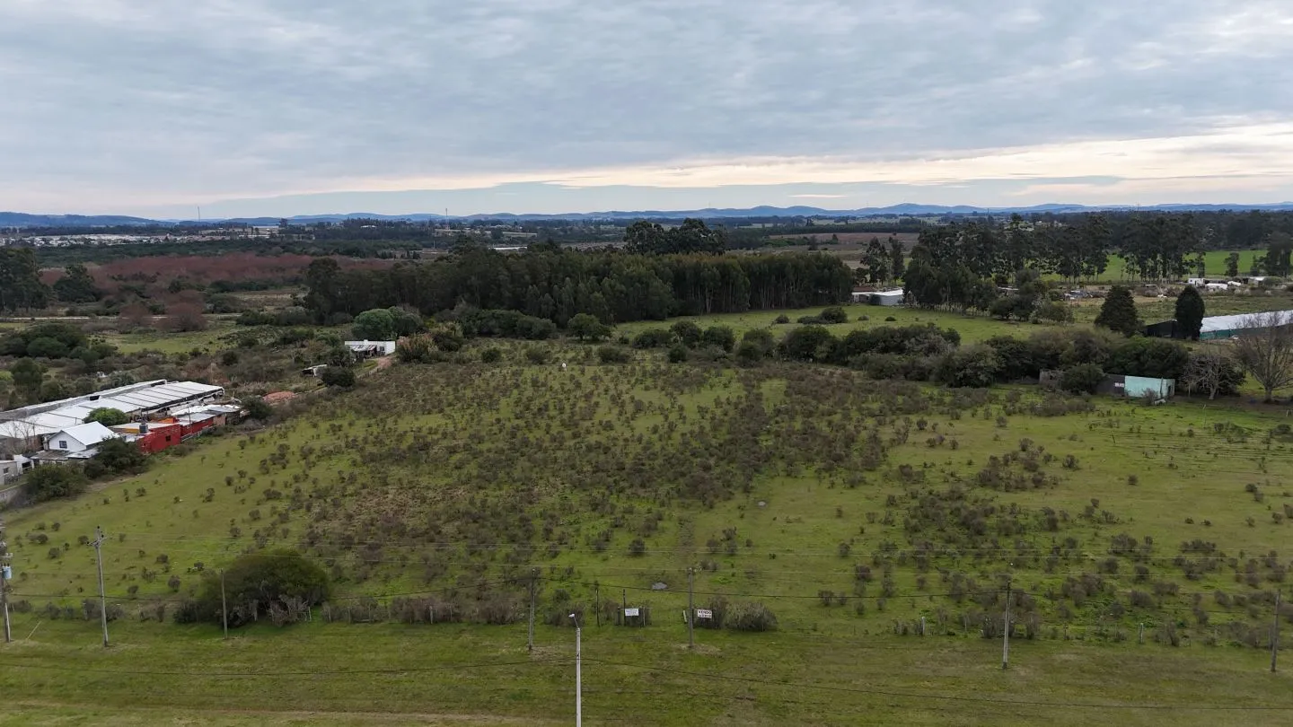 Terreno Logístico en San Carlos; Maldonado Uruguay — foto 1
