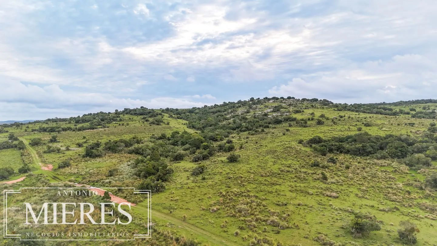 Campo de 32 ha panorámico con arroyo en Maldonado — foto 2